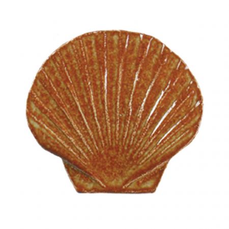 Seashell Brown