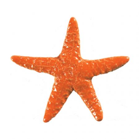 Starfish Orange