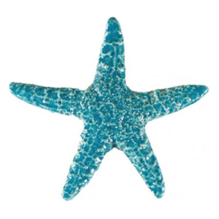 Starfish Aqua