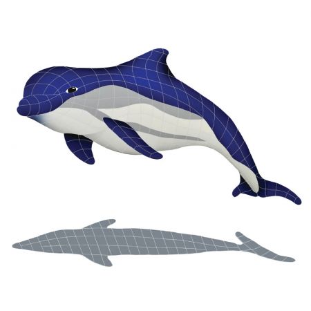 Bottlenose Dolphin Upward with Shadow