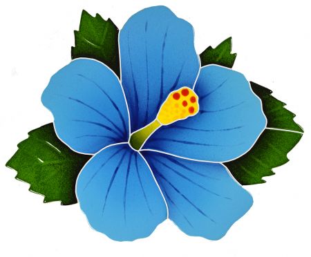 Hibiscus Blue