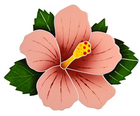 Hibiscus Pink