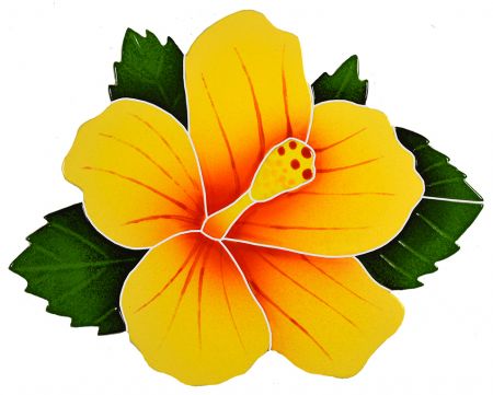 Hibiscus Yellow