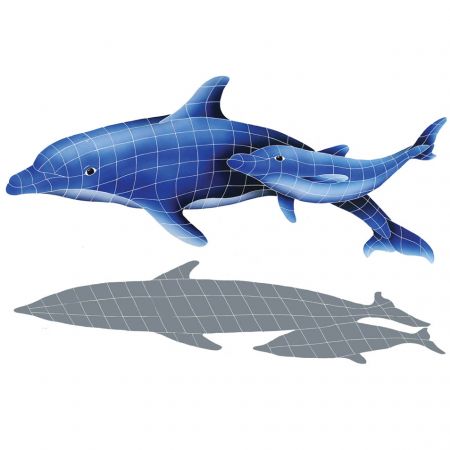 Dolphin Pair with Shadow