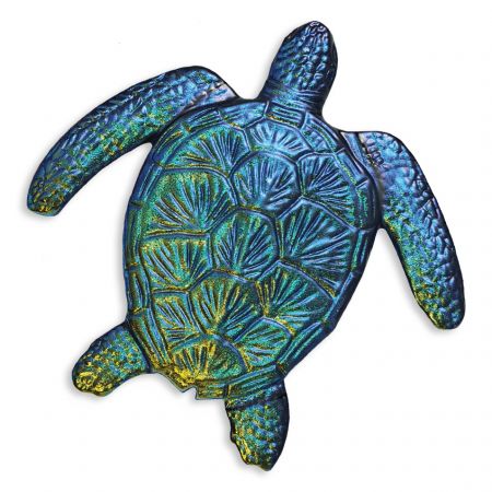 Rainbow Loggerhead Turtle