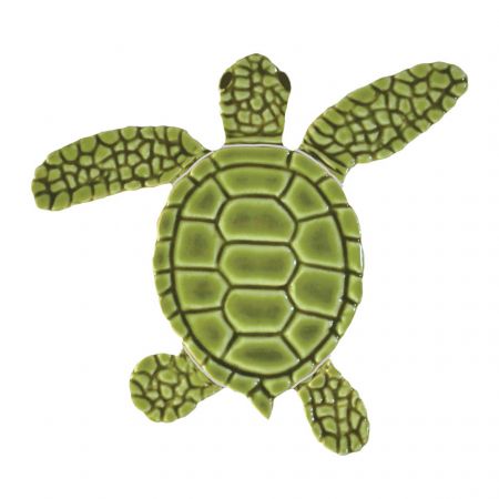 Loggerhead Turtle A Mini Green