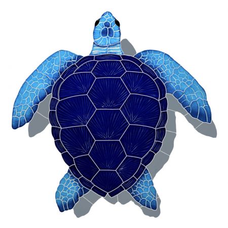 Loggerhead Turtle with Shadow Blue