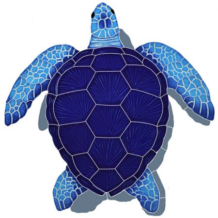 Loggerhead Turtle with Shadow Blue