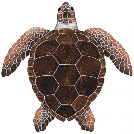 Loggerhead Turtle Brown