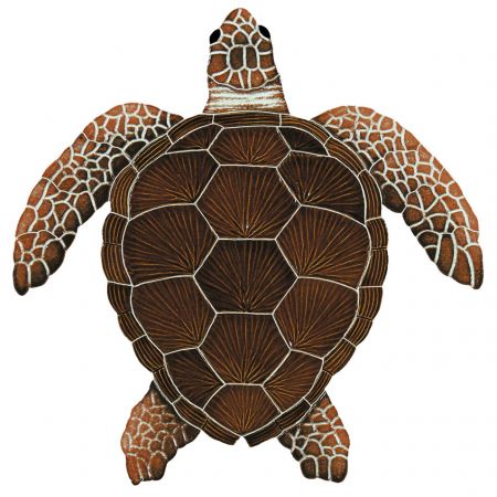 Loggerhead Turtle Brown