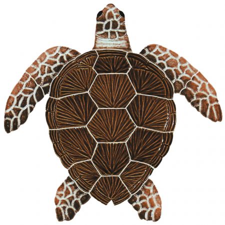 Loggerhead Turtle Brown