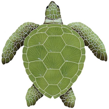 Loggerhead Turtle Green