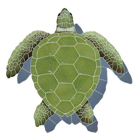 Loggerhead Turtle with Shadow Green