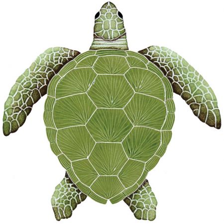 Loggerhead Turtle Green