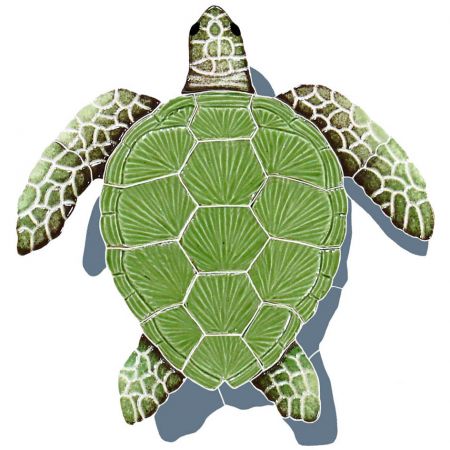 Loggerhead Turtle with Shadow Green