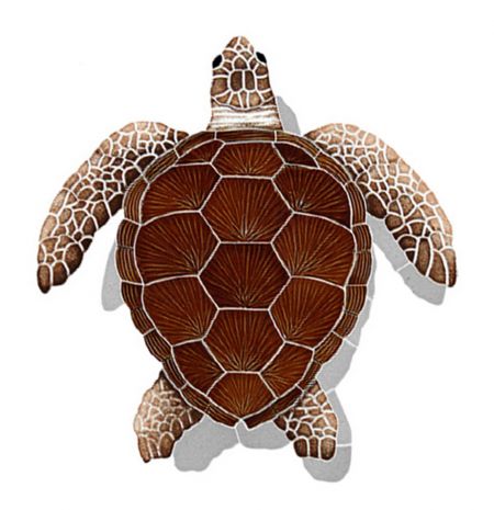 Loggerhead Turtle with Shadow Brown