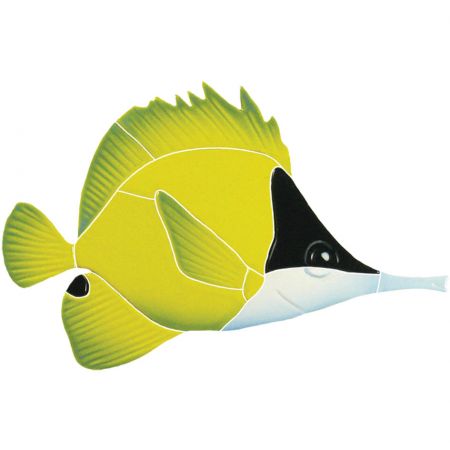 Long Nosed Butterfly Fish