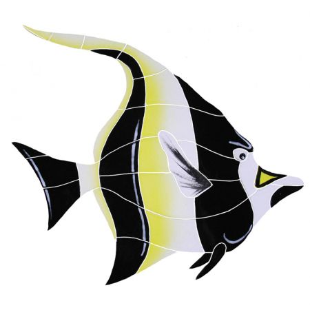 Moorish Idol