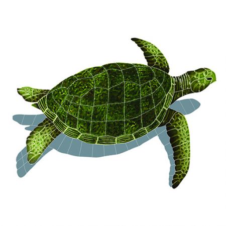 Sea Turtle Shadow Green