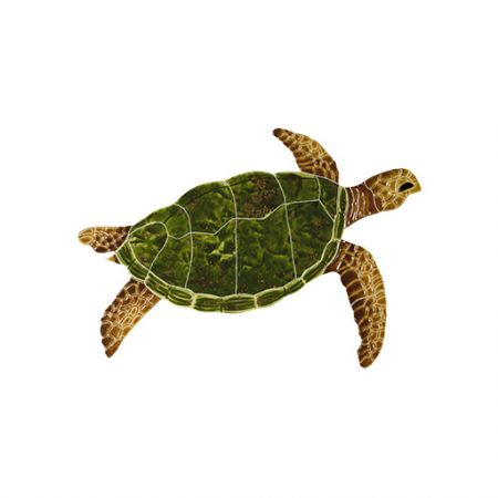 Sea Turtle Natural