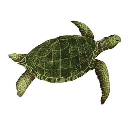 Sea Turtle Green