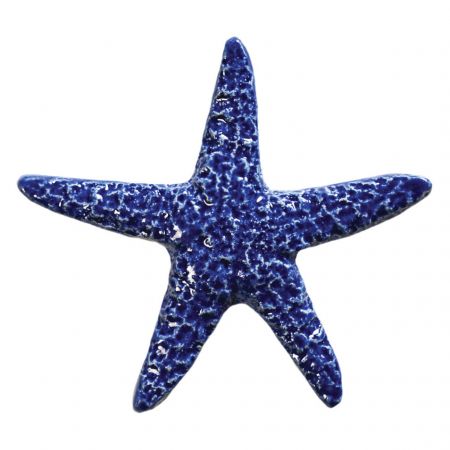Starfish Blue