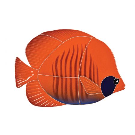 Tiger Tang Fish Orange
