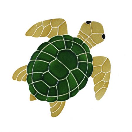 Classic Turtle Topview Natural