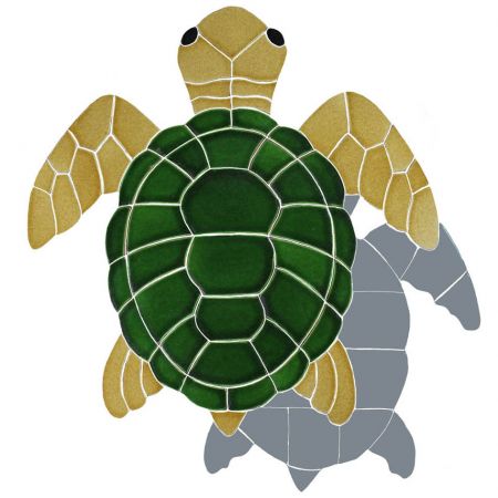   Classic Turtle Shadow Topview Natural