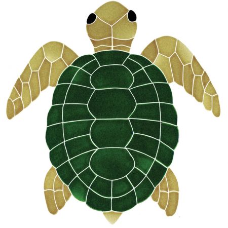 Classic Turtle Topview Natural