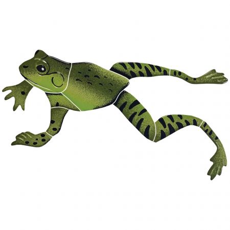 Leaping Frog